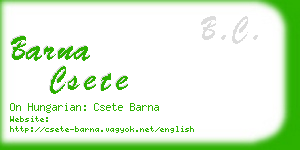 barna csete business card